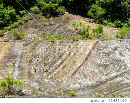 南房総の貴重な地球活動の景色 200年前の大規模海底地すべりで起きた地層 南房総の貴重な地球活動の景色 200年前の大規模海底地すべりで起きた地層 91485196