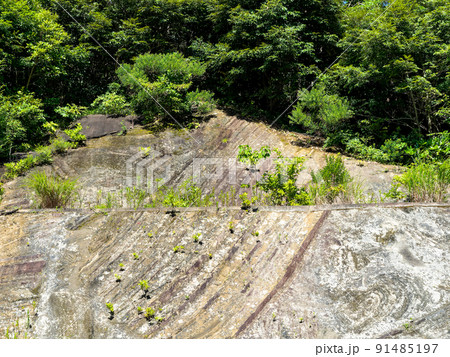 南房総の貴重な地球活動の景色 200年前の大規模海底地すべりで起きた地層 南房総の貴重な地球活動の景色 200年前の大規模海底地すべりで起きた地層 91485197