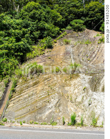 南房総の貴重な地球活動の景色 200年前の大規模海底地すべりで起きた地層 南房総の貴重な地球活動の景色 200年前の大規模海底地すべりで起きた地層 91485200