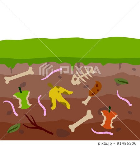 Compost soil. Layer of earth in section with worms. Farming and food waste Compost soil. Layer of earth in section with worms. Farming and food waste 91486506