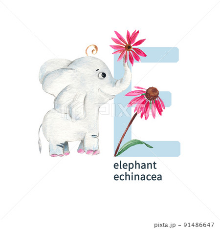 letter e elephant