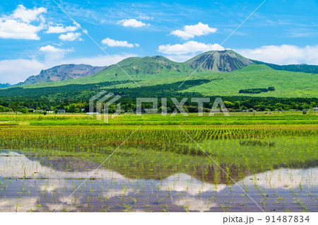 熊本県阿蘇市 阿蘇山　～水田に映る阿蘇山～ 91487834