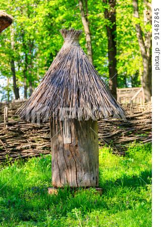 Ancient wooden beehives in old rural apiary 91487845
