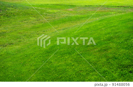 Golf grassland in kakheti, Georgia Golf grassland in kakheti, Georgia 91488056