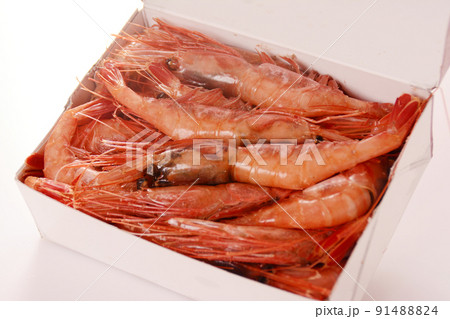北海道産 甘エビ 解凍 北海道産 甘エビ 解凍 91488824