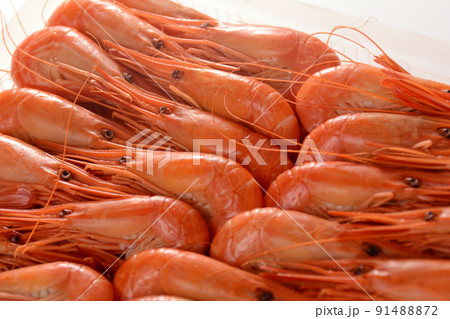 北海道産 北海しまえび 北海道産 北海しまえび 91488872