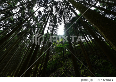 多紀連山より 91489083