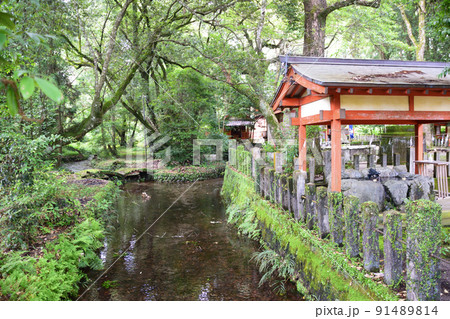 国富町・諏訪神社の風景 国富町・諏訪神社の風景 91489814