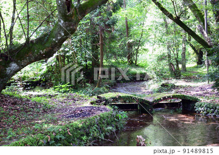 国富町・諏訪神社の風景 国富町・諏訪神社の風景 91489815