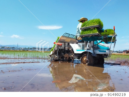 青空の下で田植え機に乗って田植えをする田舎の風景 91490219