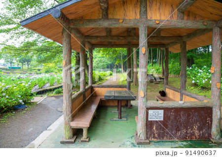 菖蒲園　あずまやからの眺め　梅雨の季節　丸山公園 91490637