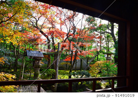 旧斎藤家別邸の紅葉(新潟県) 旧斎藤家別邸の紅葉(新潟県) 91491019