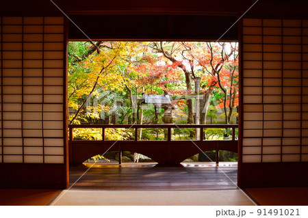 旧斎藤家別邸の紅葉（新潟県） 91491021