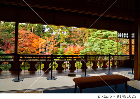 旧斎藤家別邸の紅葉(新潟県) 旧斎藤家別邸の紅葉(新潟県) 91491025