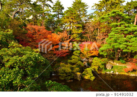 旧斎藤家別邸の紅葉（新潟県） 91491032