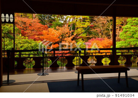 旧斎藤家別邸の紅葉（新潟県） 91491034