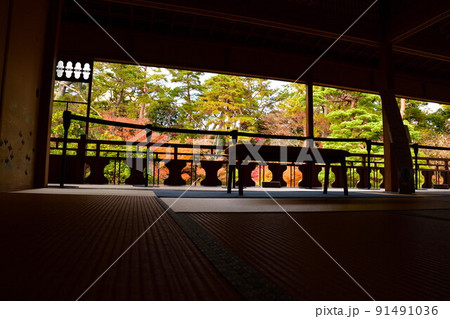 旧斎藤家別邸の紅葉（新潟県） 91491036