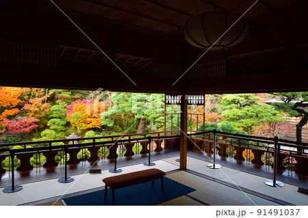 旧斎藤家別邸の紅葉（新潟県） 91491037