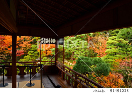 旧斎藤家別邸の紅葉(新潟県) 旧斎藤家別邸の紅葉(新潟県) 91491038