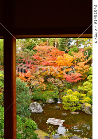 旧斎藤家別邸の紅葉(新潟県) 旧斎藤家別邸の紅葉(新潟県) 91491043