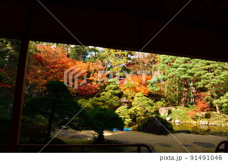 旧斎藤家別邸の紅葉（新潟県） 91491046