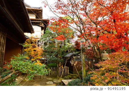 旧齋藤家別邸の紅葉（新潟県） 91491195