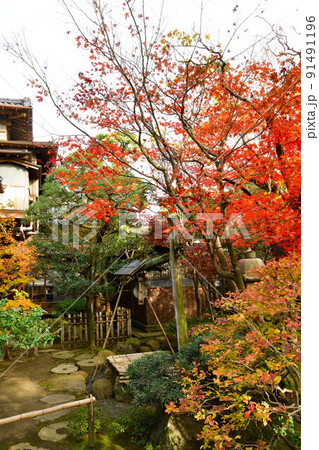 旧齋藤家別邸の紅葉（新潟県） 91491196