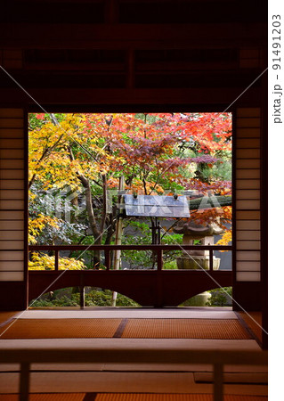 旧齋藤家別邸の紅葉(新潟県) 旧齋藤家別邸の紅葉(新潟県) 91491203