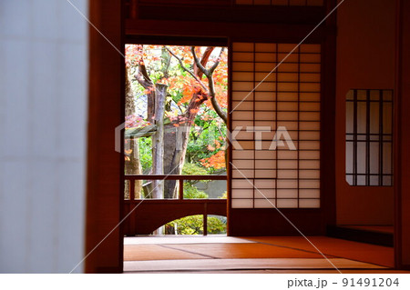 旧齋藤家別邸の紅葉（新潟県） 91491204