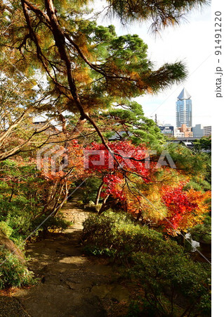 旧齋藤家別邸の紅葉（新潟県） 91491220