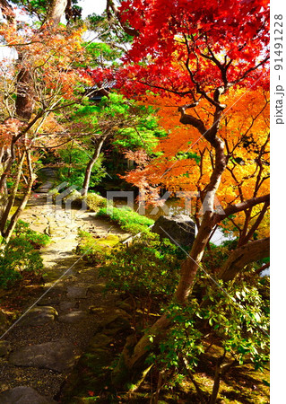 旧齋藤家別邸の紅葉（新潟県） 91491228