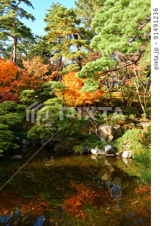 旧齋藤家別邸の紅葉(新潟県) 旧齋藤家別邸の紅葉(新潟県) 91491236