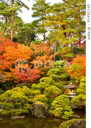 旧齋藤家別邸の紅葉(新潟県) 旧齋藤家別邸の紅葉(新潟県) 91491240