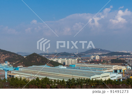 木浦市 山 木 91491273