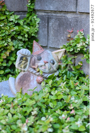 植物に埋もれた千万両小判を持った招き猫の像 91492677