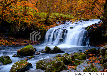 蓼科大滝(秋) 蓼科大滝(秋) 91492811