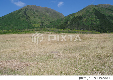 春の三瓶山の景色 91492881