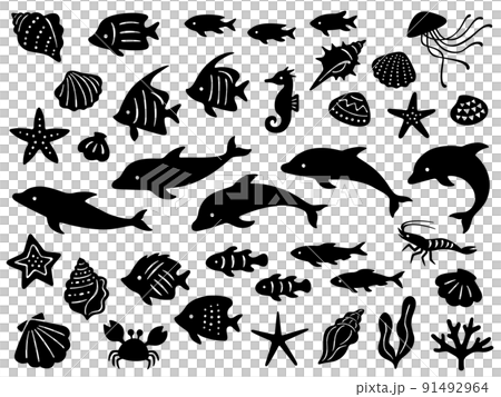 Silhouette set of dolphins and various sea creatures Silhouette set of dolphins and various sea creatures 91492964