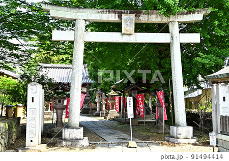 埼玉県本庄市児玉町の東石清水八幡（ひがしいわしみず）神社 91494414