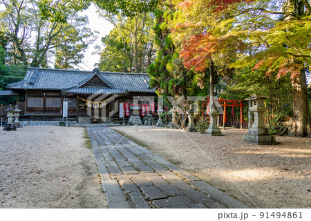 三重県亀山市 紅葉の美しい亀山神社の境内 三重県亀山市 紅葉の美しい亀山神社の境内 91494861
