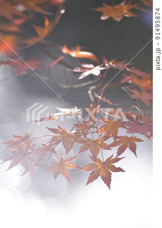 紅葉イメージ 紅葉イメージ 91495874