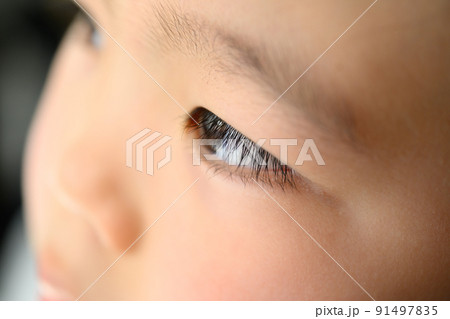 Image photo 91497835