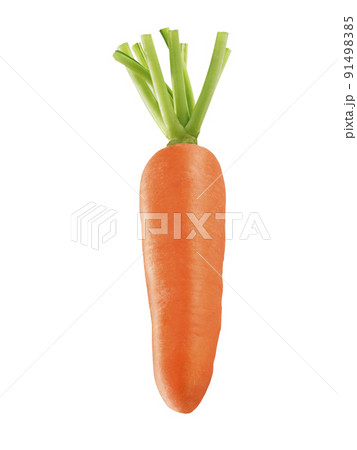 Carrot isolated on a withe background 91498385