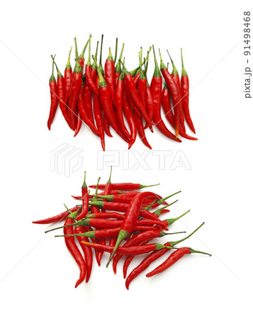 chilli isolated on white background chilli isolated on white background 91498468