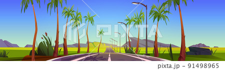 Tropical landscape with car road, palm trees 91498965