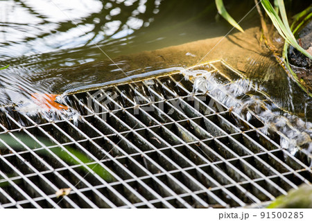 埼玉県さいたま市　見沼自然公園　池の排水口 91500285