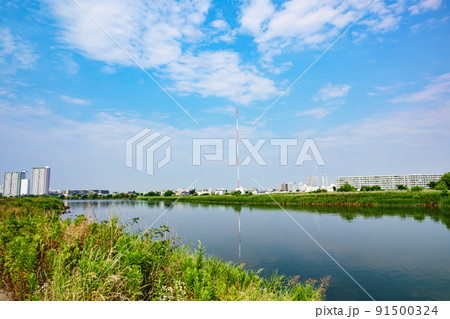 多摩川河川敷 多摩川河川敷 91500324