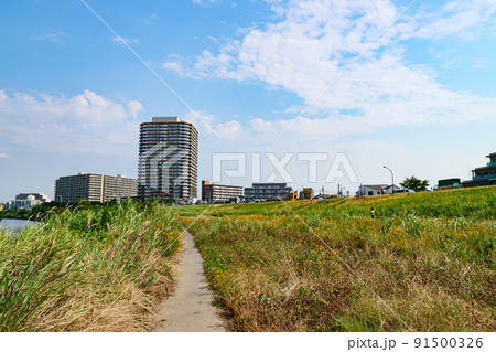 多摩川河川敷 多摩川河川敷 91500326