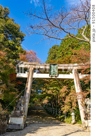 滋賀県多賀町　秋の胡宮神社の鳥居 91500408