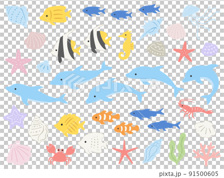 イルカと熱帯魚と海の生き物達のイラストセット 91500605